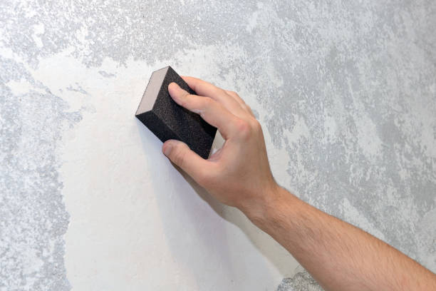 Best Comprehensive Air Testing for Mold Contaminants  in Wyong, MI