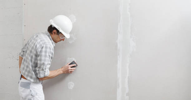 Best Mold Prevention Services  in Wyong, MI