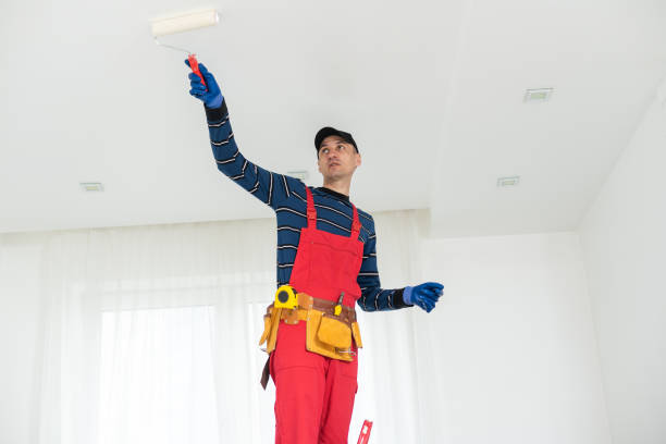 Best Crawl Space Mold Remediation  in Wyong, MI