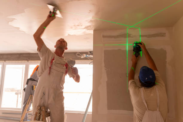 Mold Documentation for Insurance Claims in Wyoming, MI