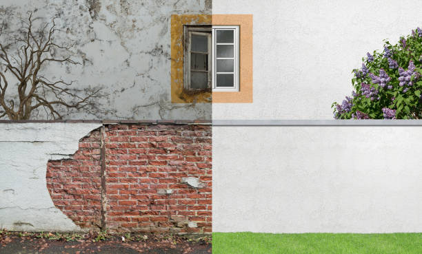 Best Emergency Mold Remediation  in Wyong, MI