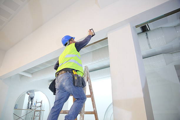Best Post-Construction Mold Inspection  in Wyong, MI