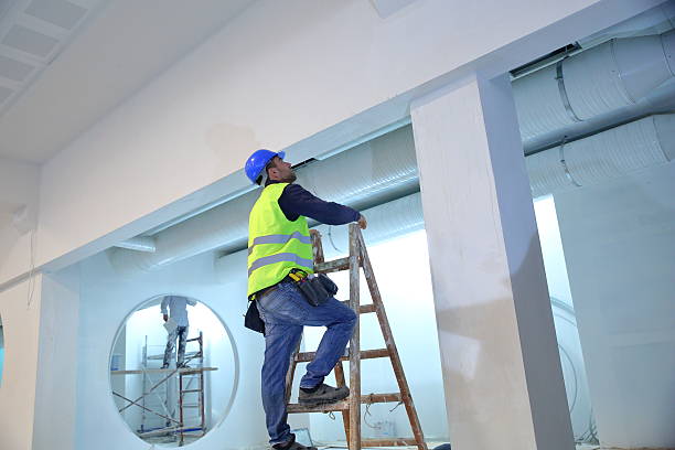 Best Mold Odor Removal Services  in Wyong, MI