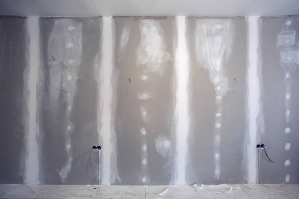 Best HVAC Mold Inspection and Cleaning  in Wyong, MI